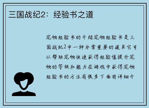 三国战纪2：经验书之道